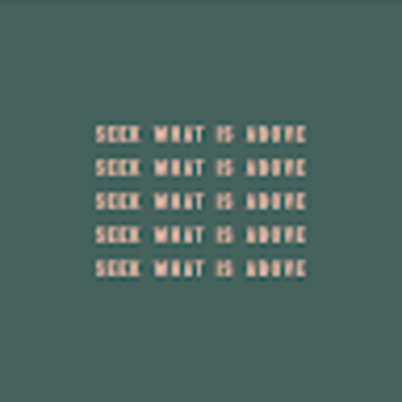 Meet your Posher, Rayven - Picture 1 of 1